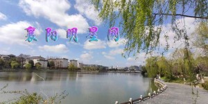 舞蹈