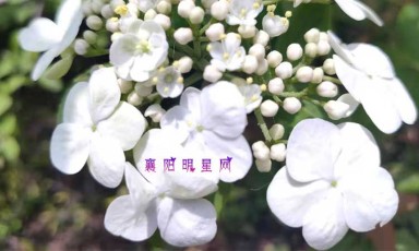 襄阳“的哥诗人”张一笑：车轮滚滚载烟火，笔底悠悠写人生！